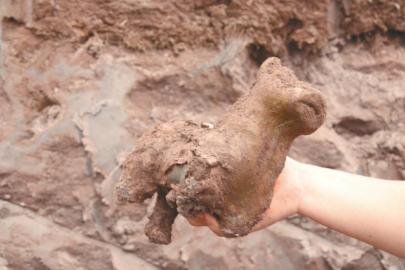 隆昌发现2000年前东汉崖墓 出土汉时萌陶狗