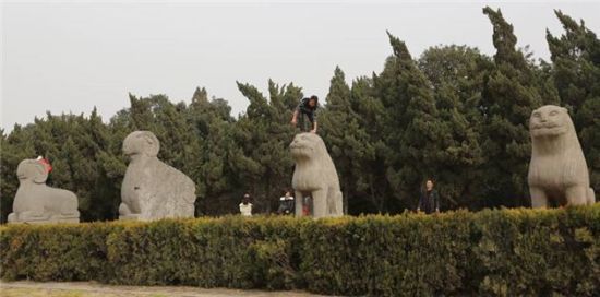 图片版权归原作者所有 图片版权归原作者所有