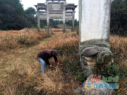 图片版权归原作者所有