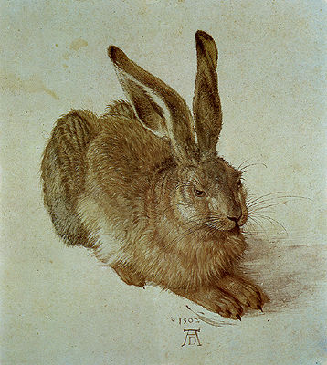 丢勒的经典油画：野兔赏析