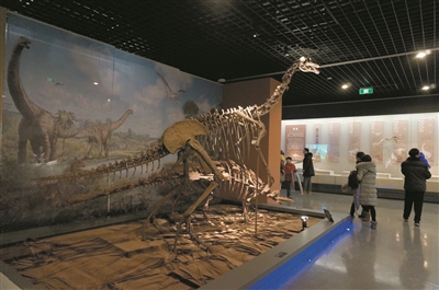 恐龙在浙里：金华市博物馆“浙江恐龙大复活”