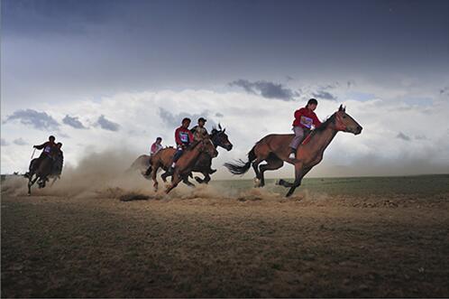 “姑娘追”马背民族——哈萨克族马背上的传承