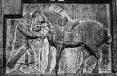 古代东西方交流中的马匹：丝绸之路，也是良马之路